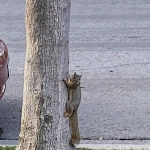 Meet your Posher, Maddie